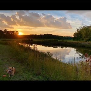 Meet your Posher, Anna